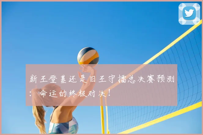新王登基还是旧王守擂总决赛预测：命运的终极对决！
